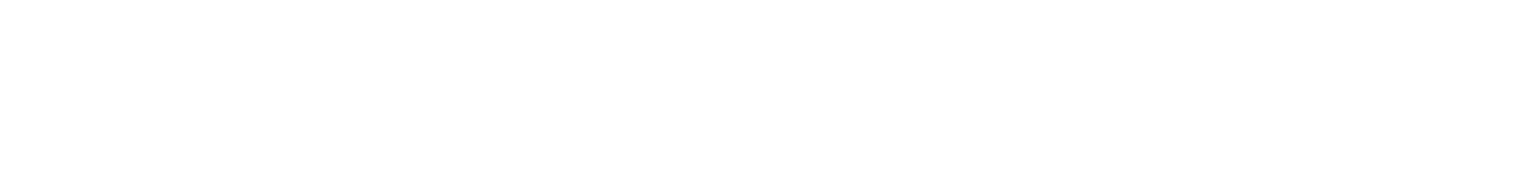 VOGELBALL